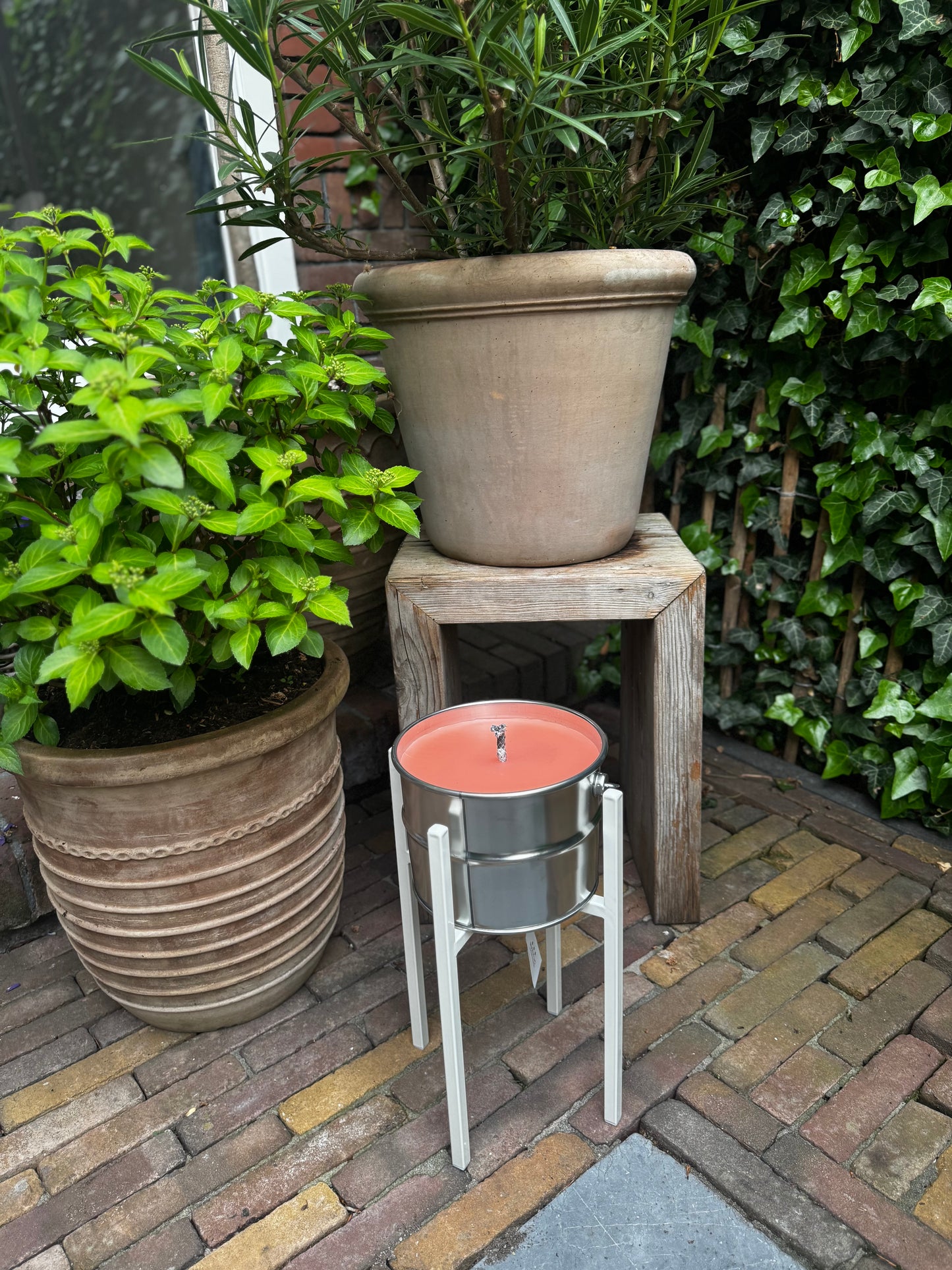 Buitenkaars in blik - koraal